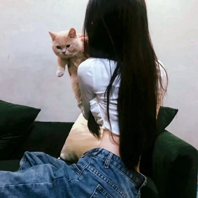 错点鸳鸯
